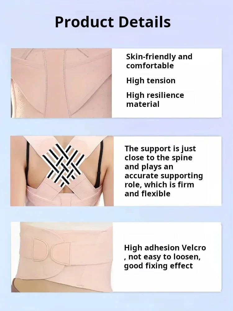 Performance Posture Support Brace