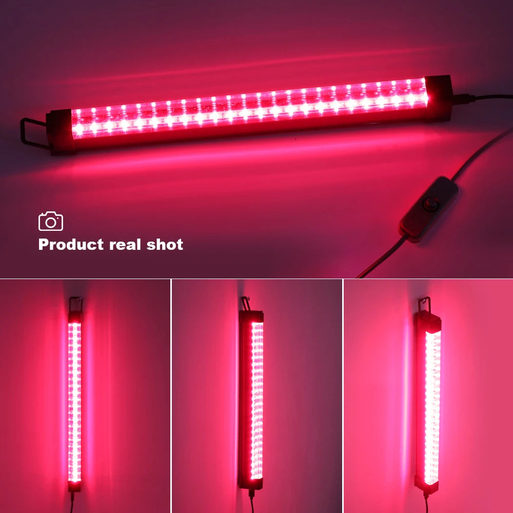 Performance Red Light Therapy Bar
